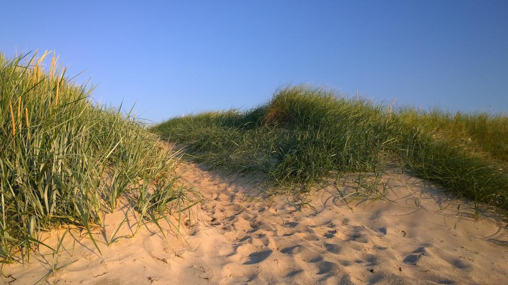 Ostsee Ferienappartement Dierhagen-Strand Exterior foto